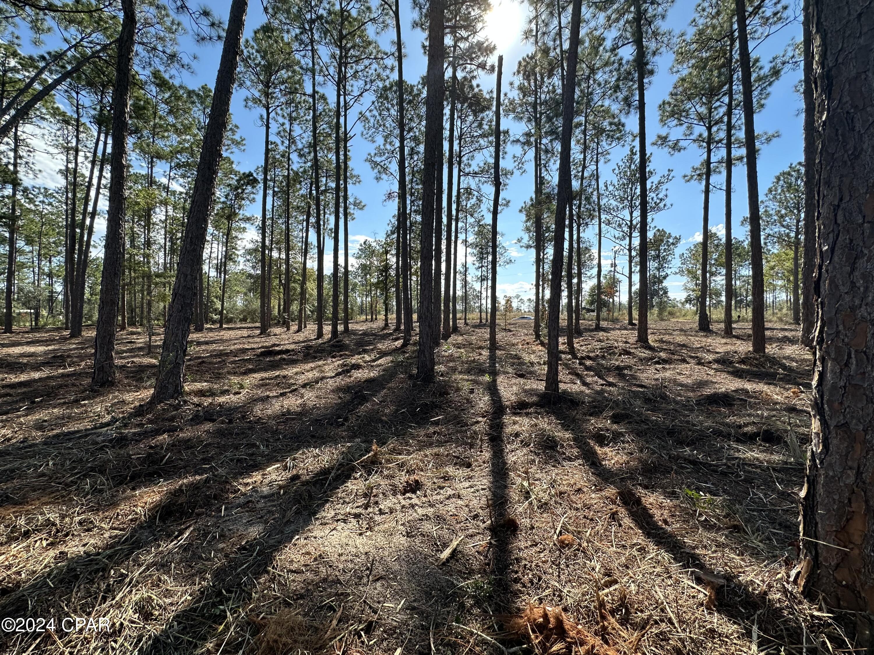Buckhorn Creek - Land