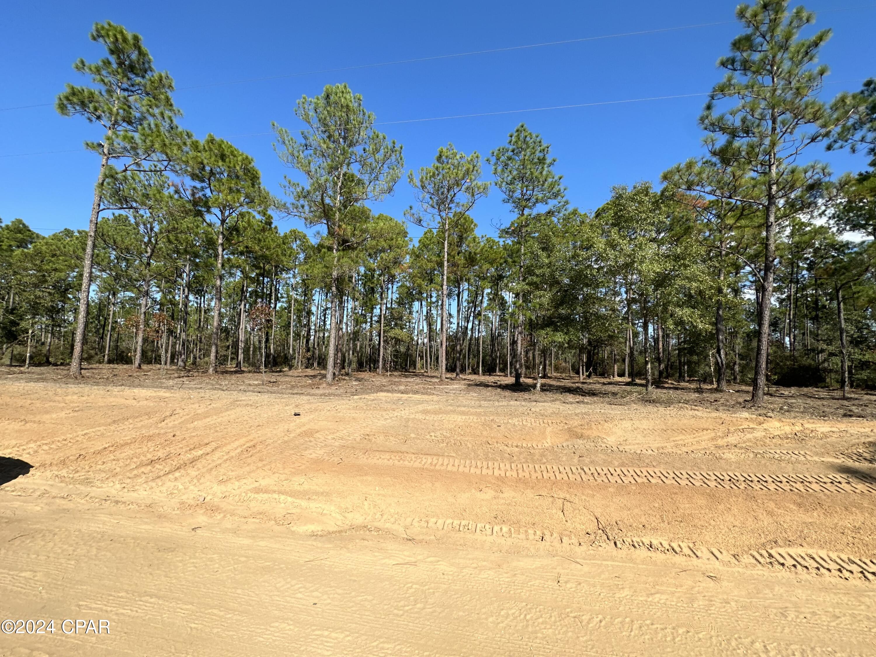 Buckhorn Creek - Land