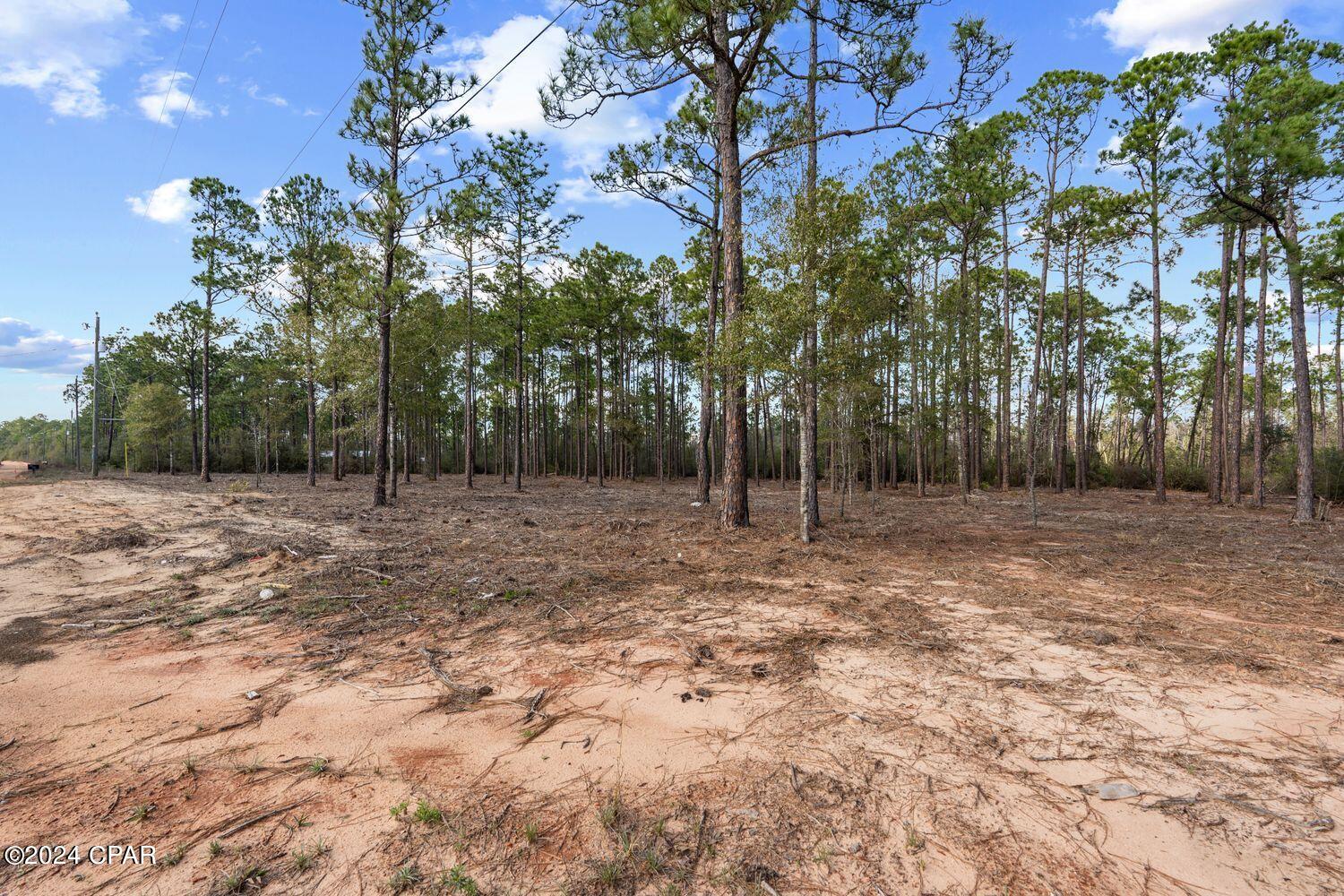 Buckhorn Creek - Land