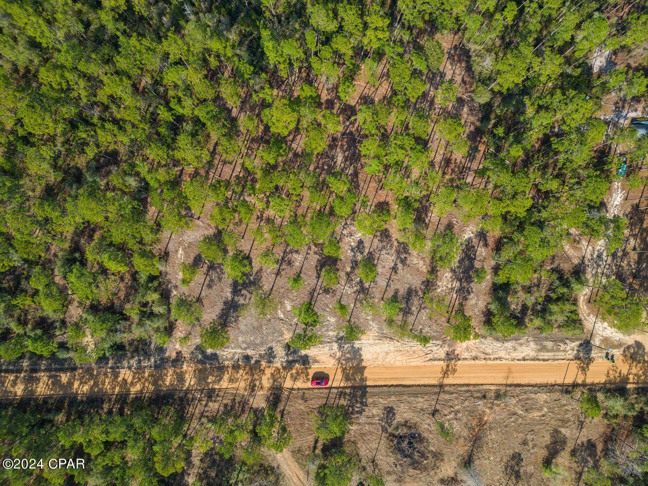 Buckhorn Creek - Land