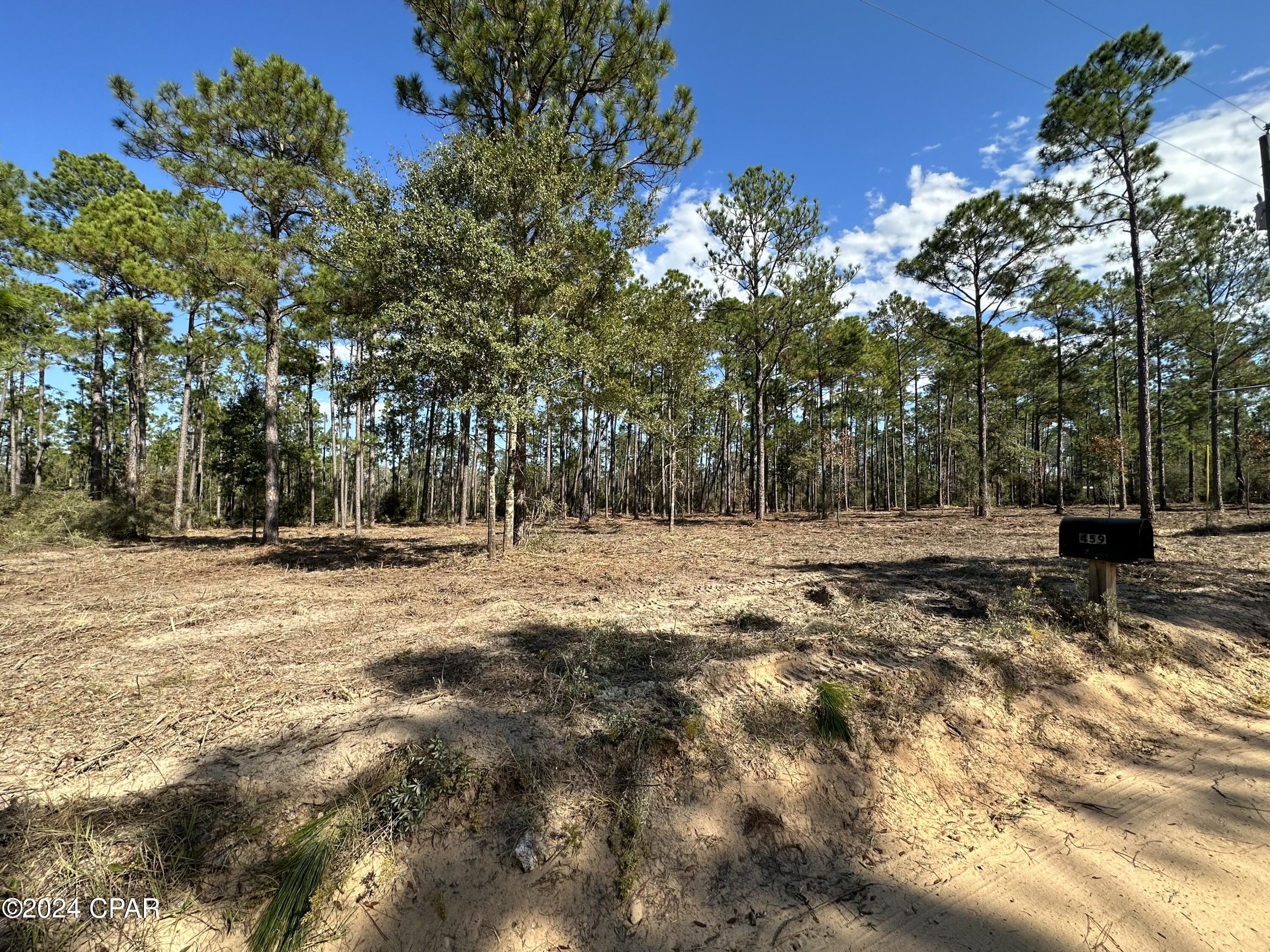 Buckhorn Creek - Land