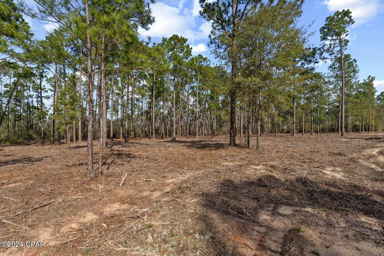 Buckhorn Creek - Land