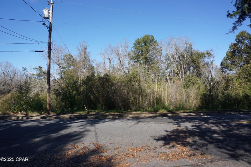 Nice, in-town residential lot available on paved, city-maintained road with sidewalk. Located just off Main Street and within walking distance to Chattahoochee's historic downtown with restaurants, shops, and other local businesses. City utilities are available in this area.