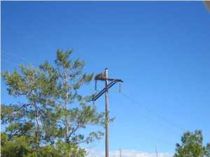 Wild Heron Phase I - Land