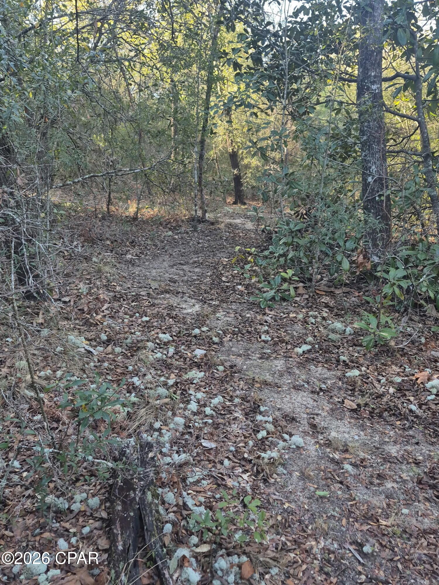 Compass Lake Hills Unit 6 - Residential