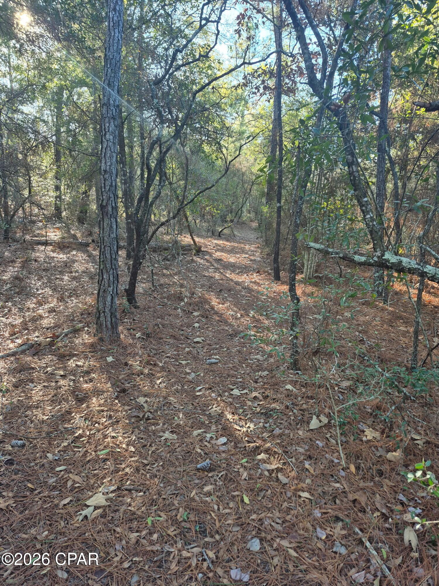 Compass Lake Hills Unit 6 - Residential