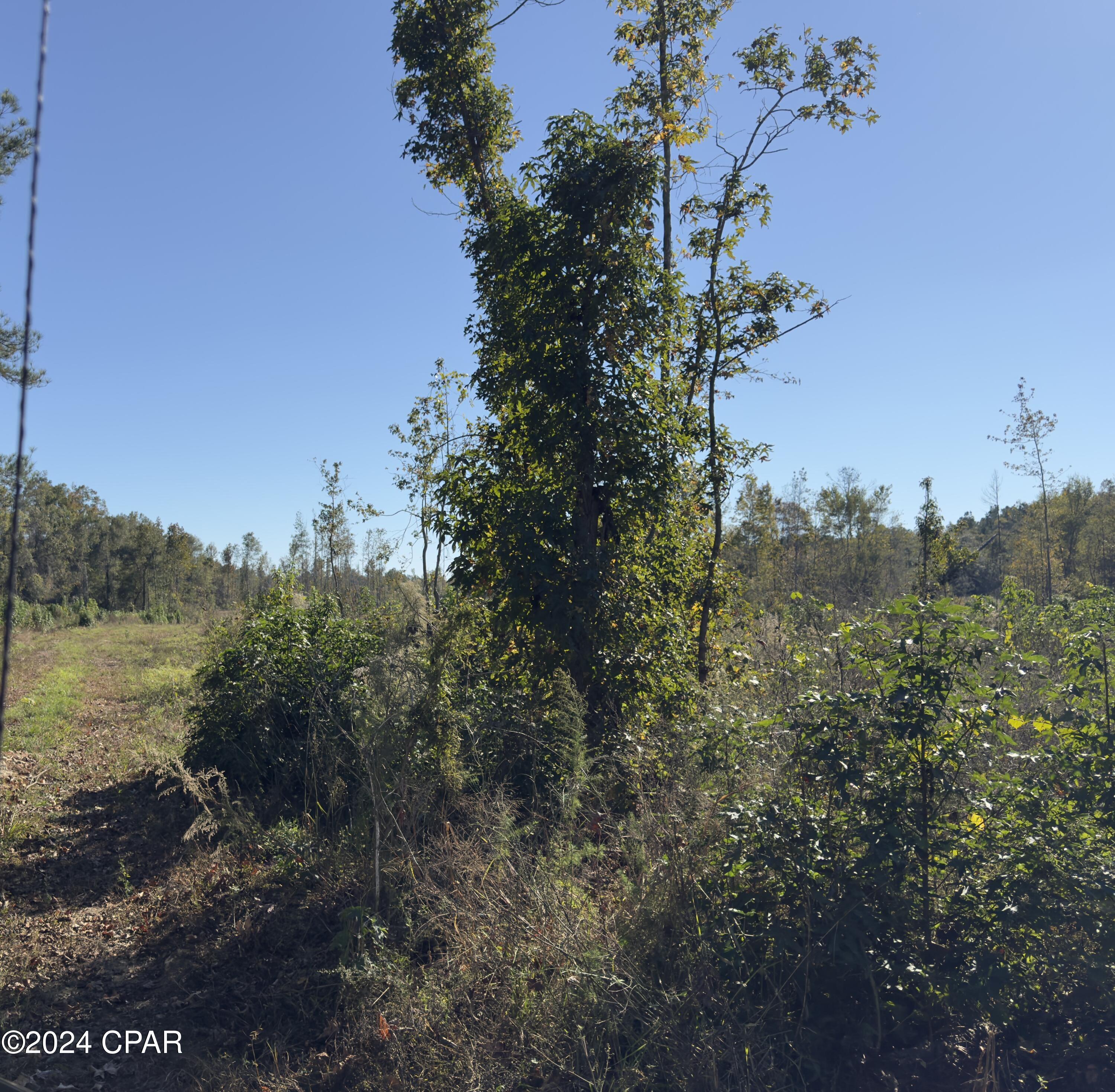 [No Recorded Subdiv] - Land