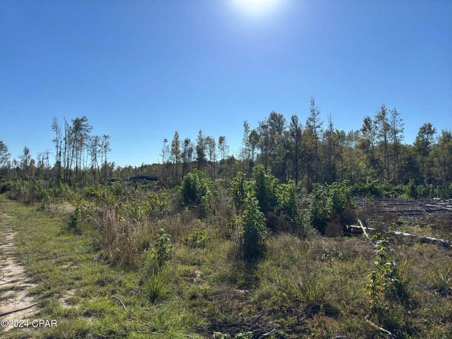 PRIME HUNTING LAND!!! This large 40 acre parcel would be perfect for a hunting cabin or dream home.  The property is peaceful with plenty of whitetail deer and turkeys abroad. Conveniently located near Lake Seminole and  the Georgia/Alabama line. Don't miss out on this opportunity to own a very nice piece of land located in Jackson County, FL!!