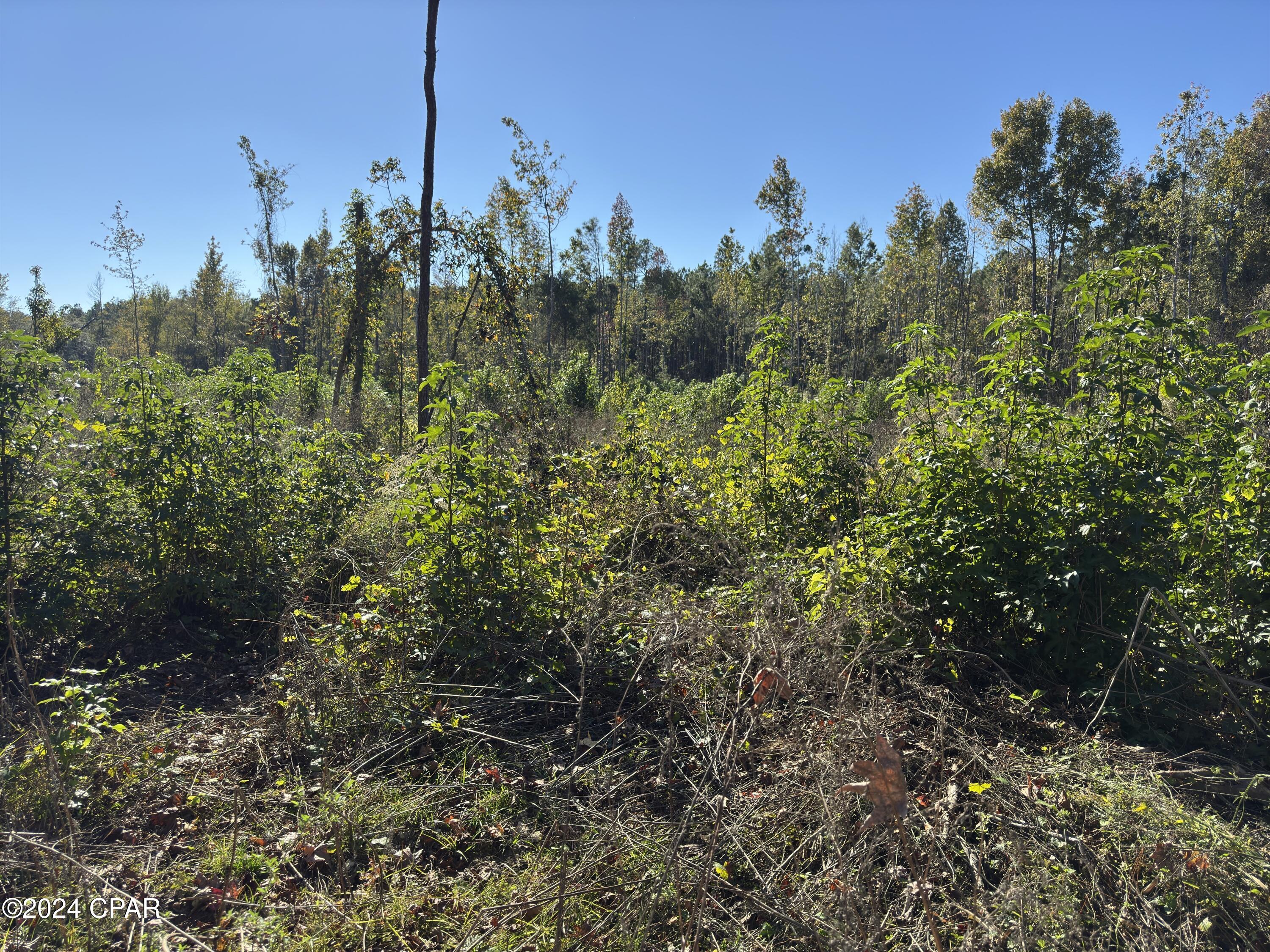 [No Recorded Subdiv] - Land