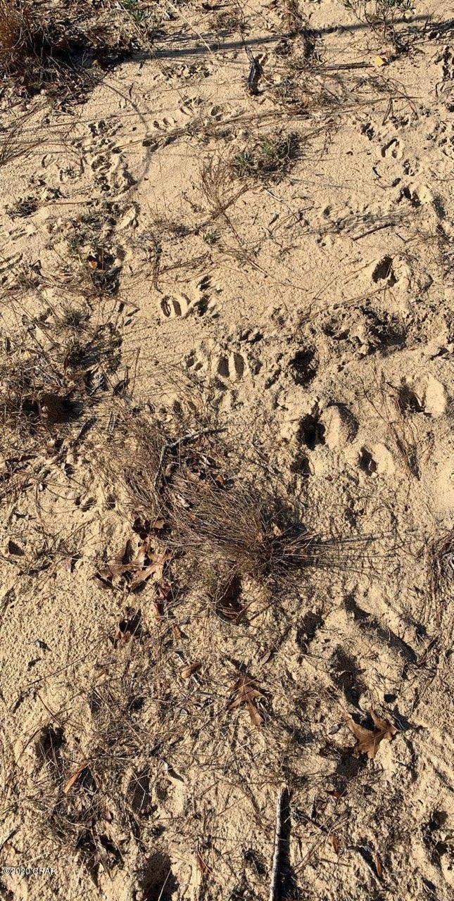 Leisure Lakes - Land