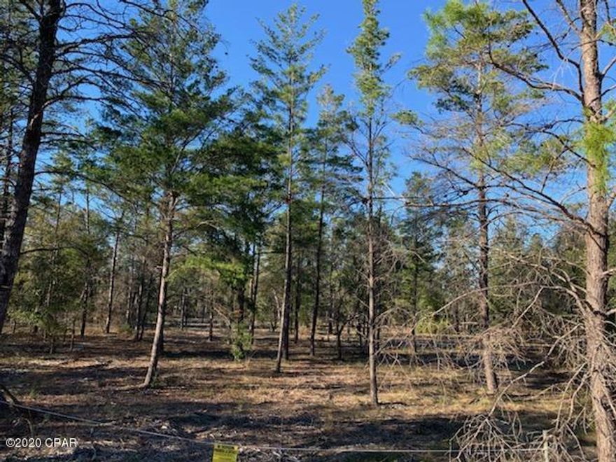 This flat secluded lot is at the end of a cul de sac that backs up to 640 hunting acres. There are no homes on the street so if you are hunting privacy, this is it. It is 3.45 acres that has been partially cleared and ready for you home, storage building or pole barn. It is not far from the pavilion area where there is a basketball court, tennis court, swimming pool, toddler playground, men's and women's restrooms, rental kitchen, picnic area, boat launch and more. The lake is about 3 miles around and some of the clearest and cleanest fresh water in the Panhandle. Security guards are on duty weekdays and a special unique is given to property owners for access.
