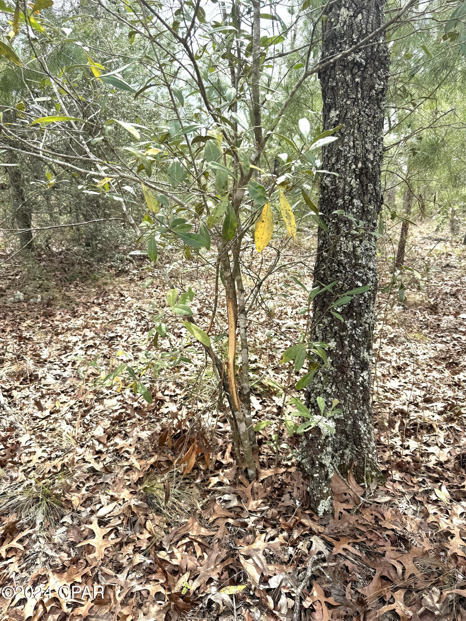 No Named Subdivision - Land