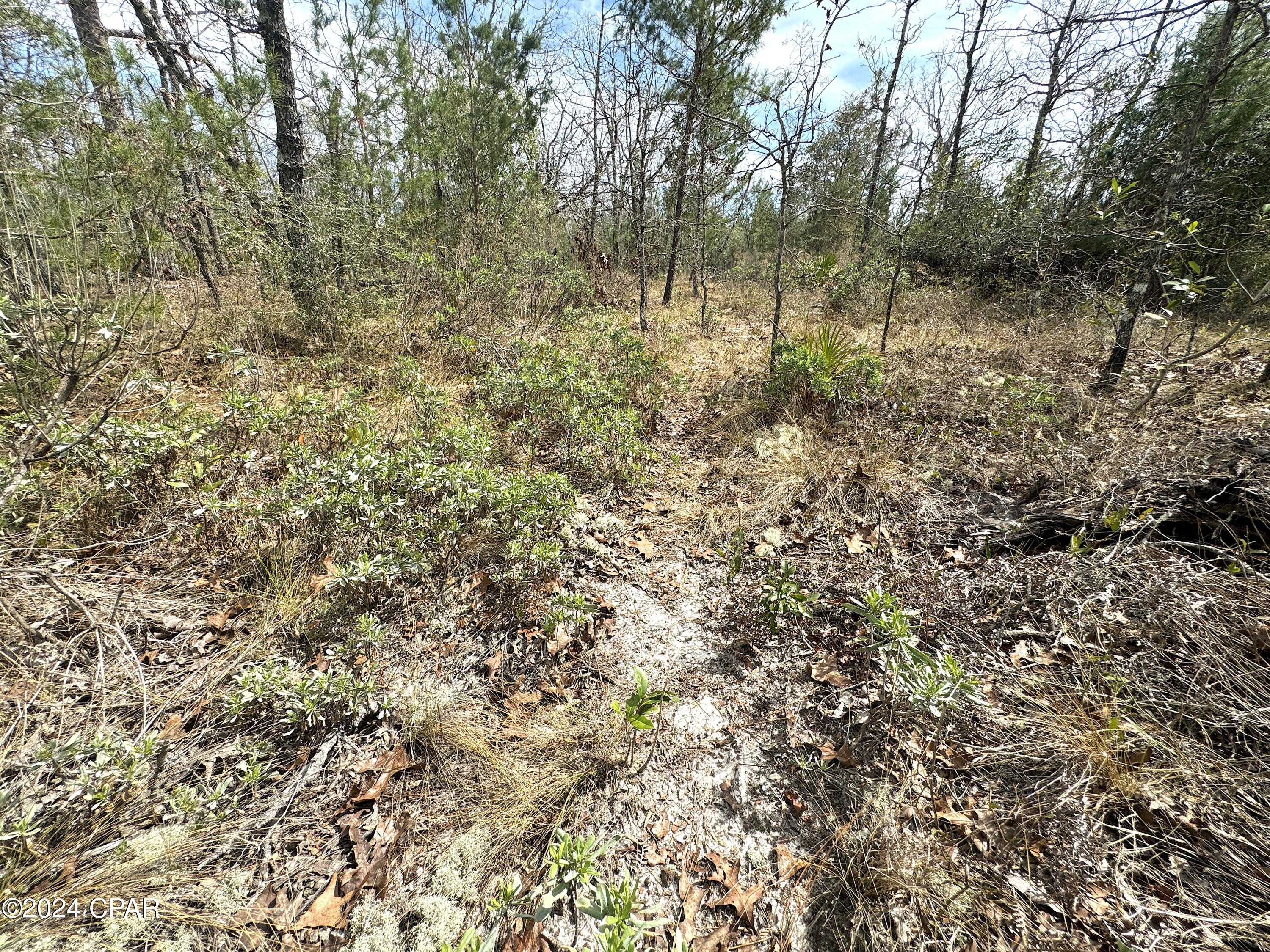 No Named Subdivision - Land