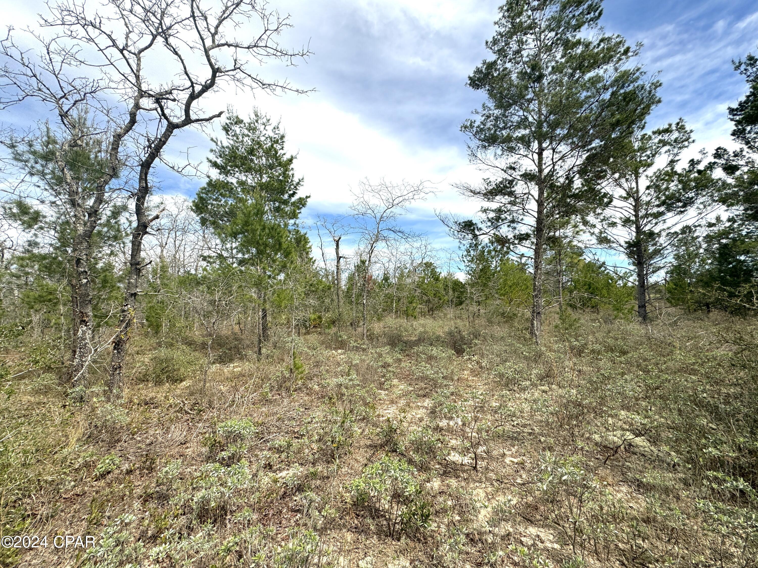 No Named Subdivision - Land