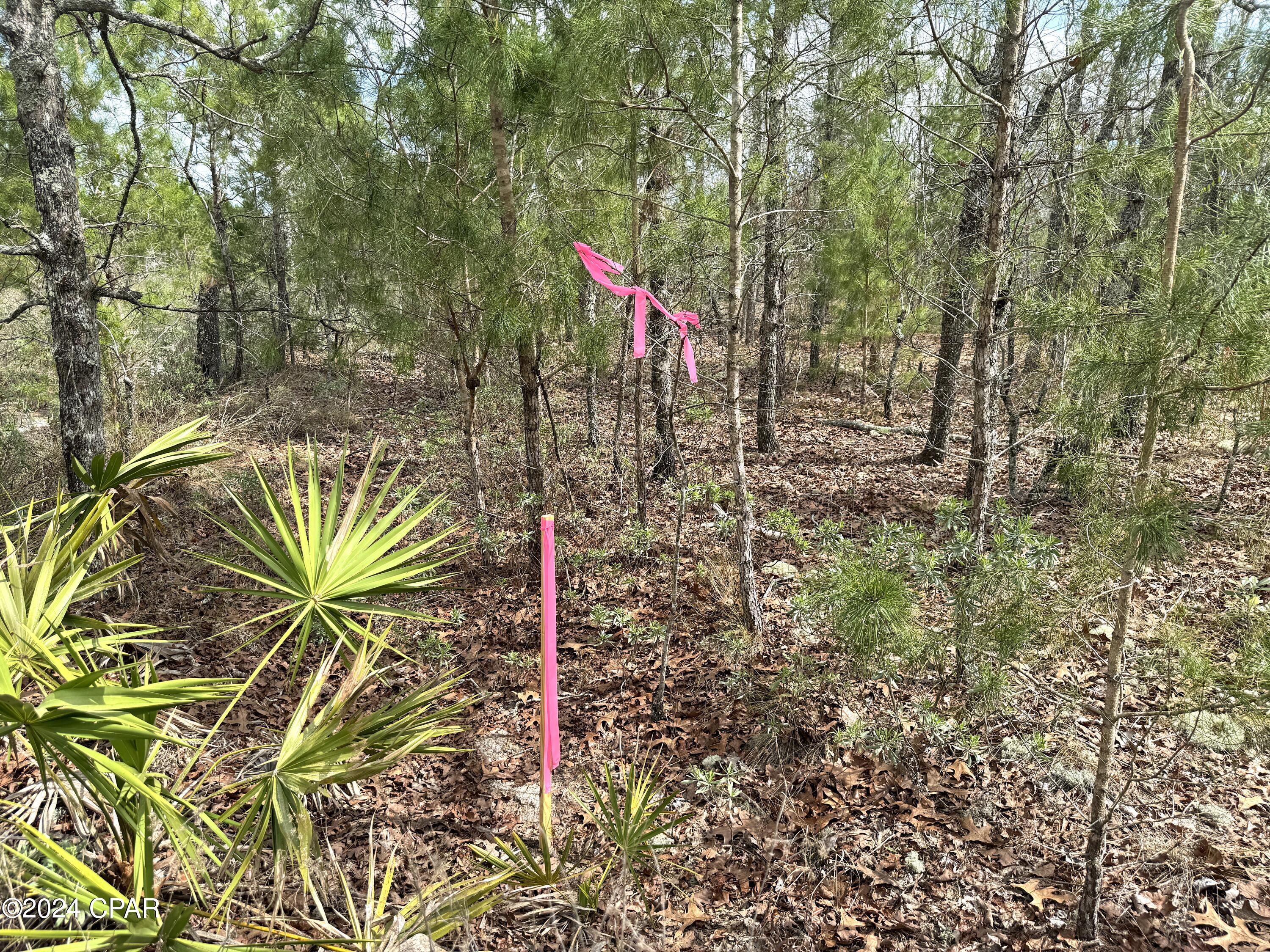 No Named Subdivision - Land