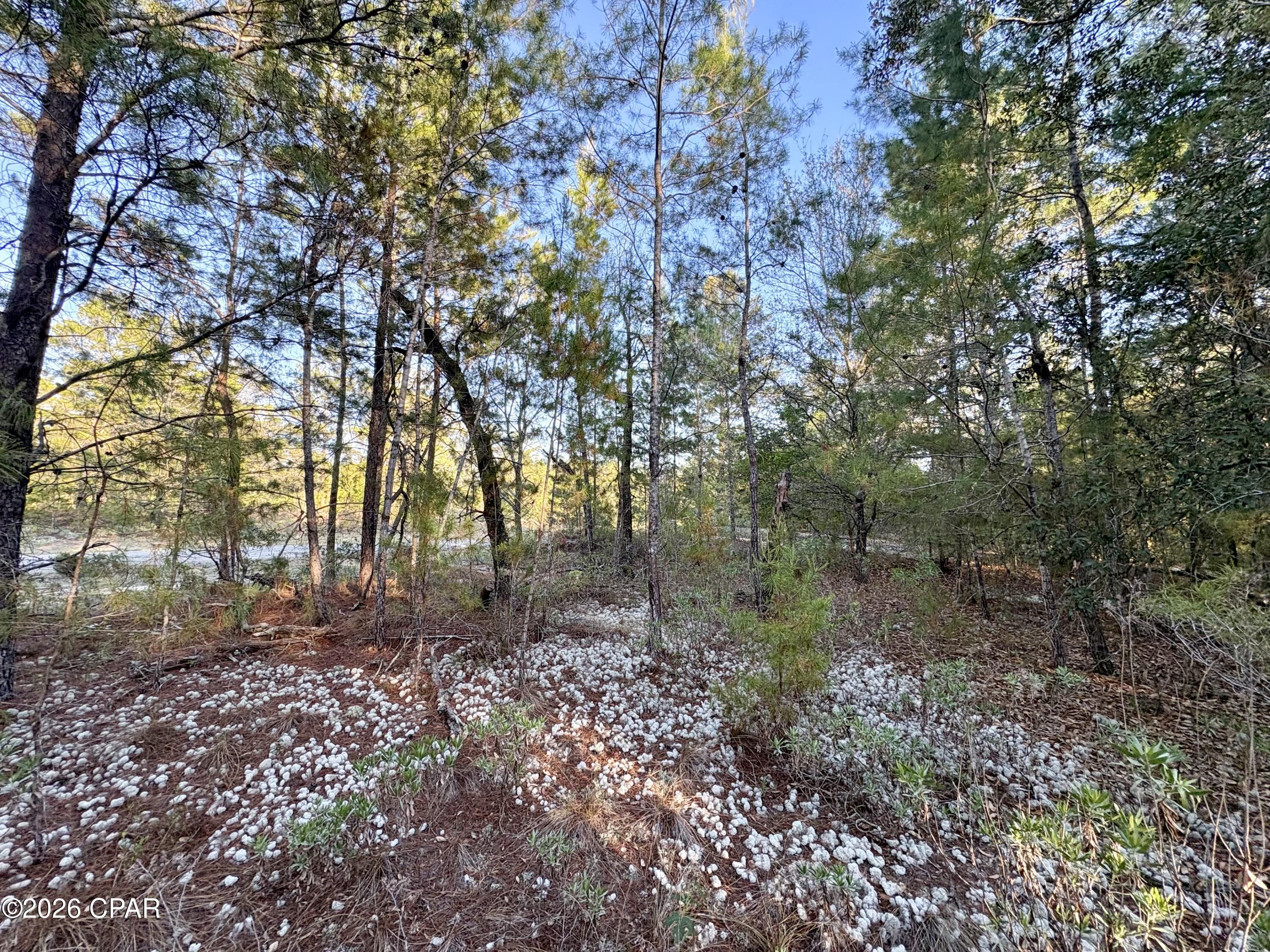 Sunny Hills Unit 6 - Land
