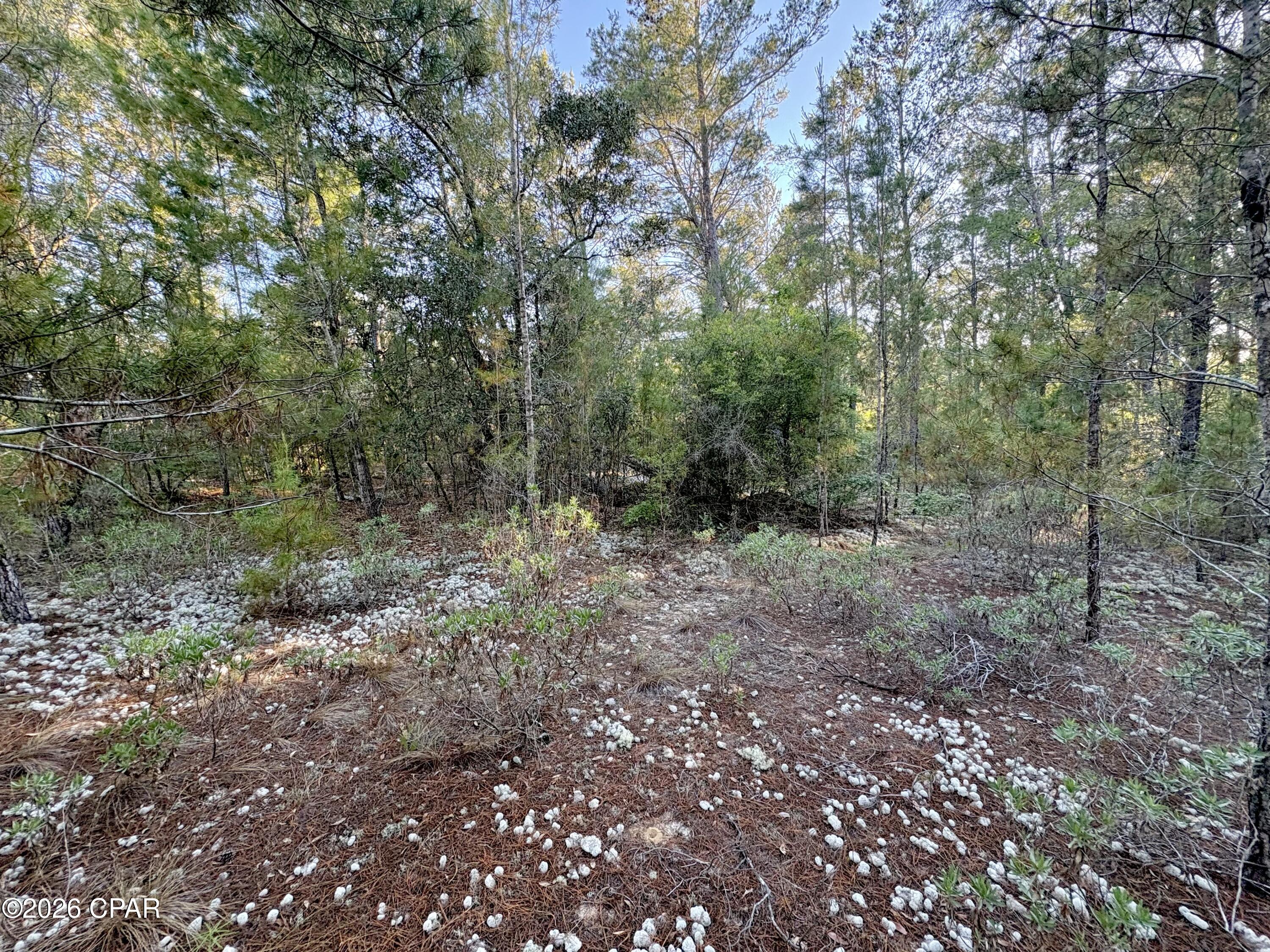 Sunny Hills Unit 6 - Land