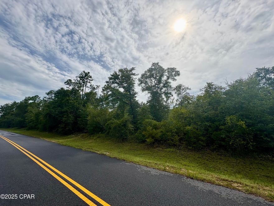 Don't miss this opportunity to own a lot across the street from beautiful McCormick Lake!  You can build a home on this lot and the ordinance has changed so you can put in a new mobile home.  This lot is on a recently paved road and conveniently located just off of Fairview Road about 15 minutes south of Marianna and only about 40 minutes north of Panama City.   There is a voluntary POA that's $135 annually.  Amenities include a community pool, cabins, RV park, tennis courts, community center, etc.