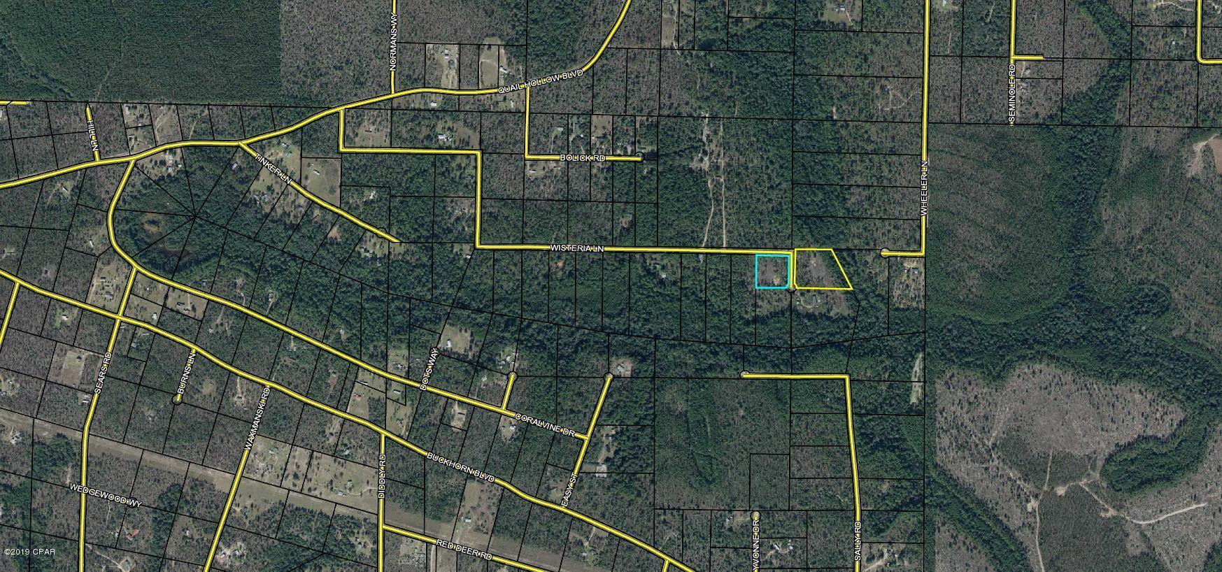 Buckhorn Creek - Land