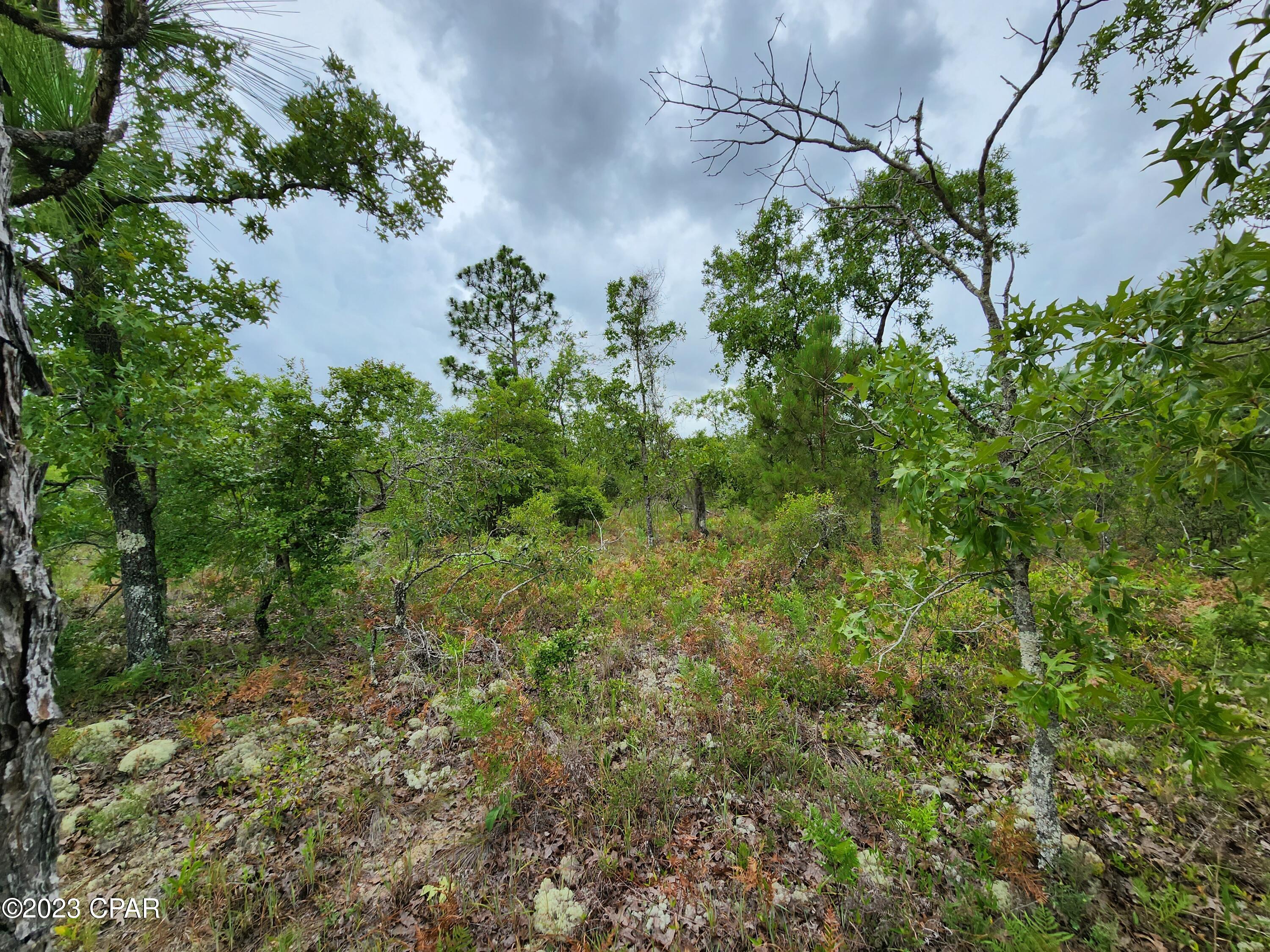 Compass Lake Hills Unit 5 - Land