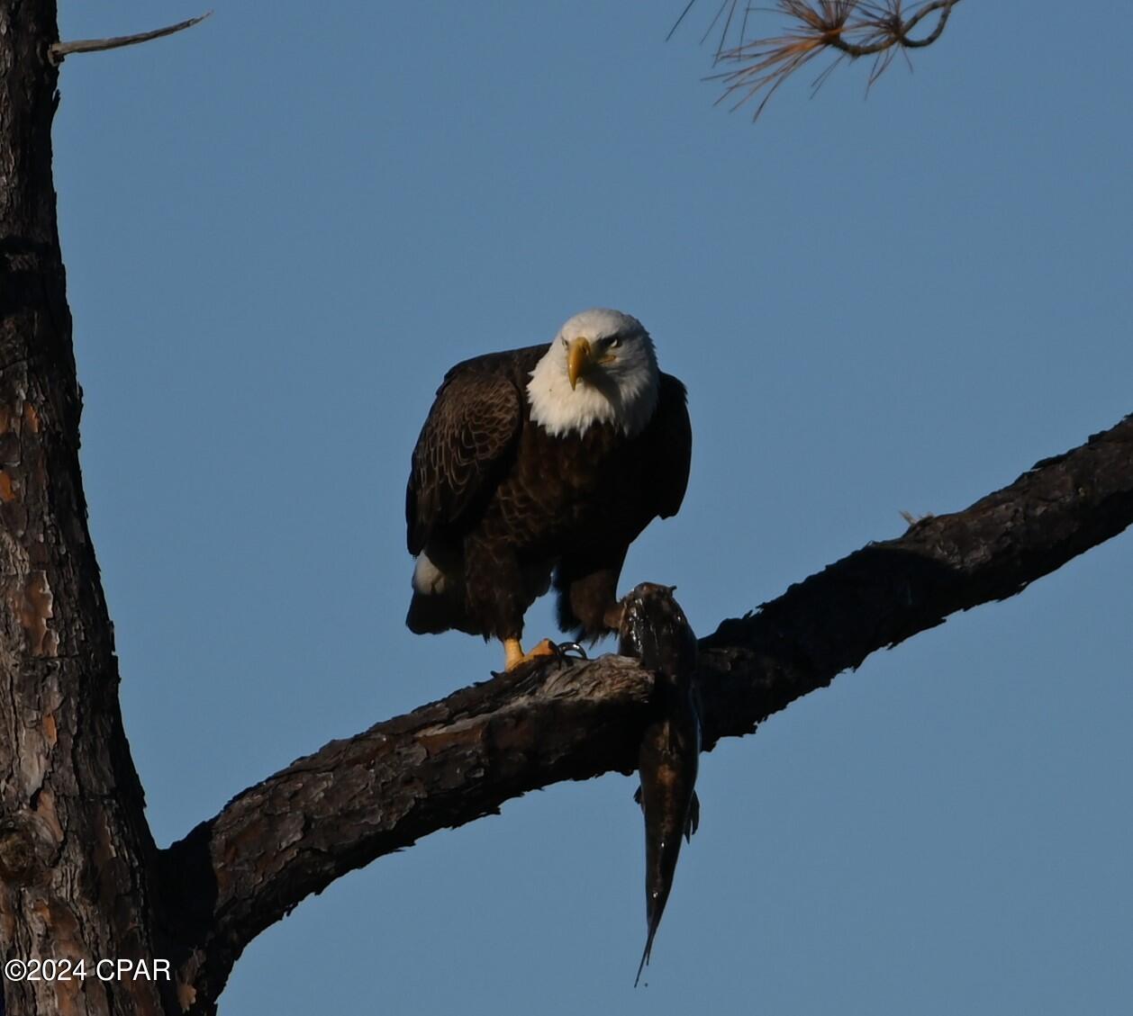 College Point 1st Add - Residential