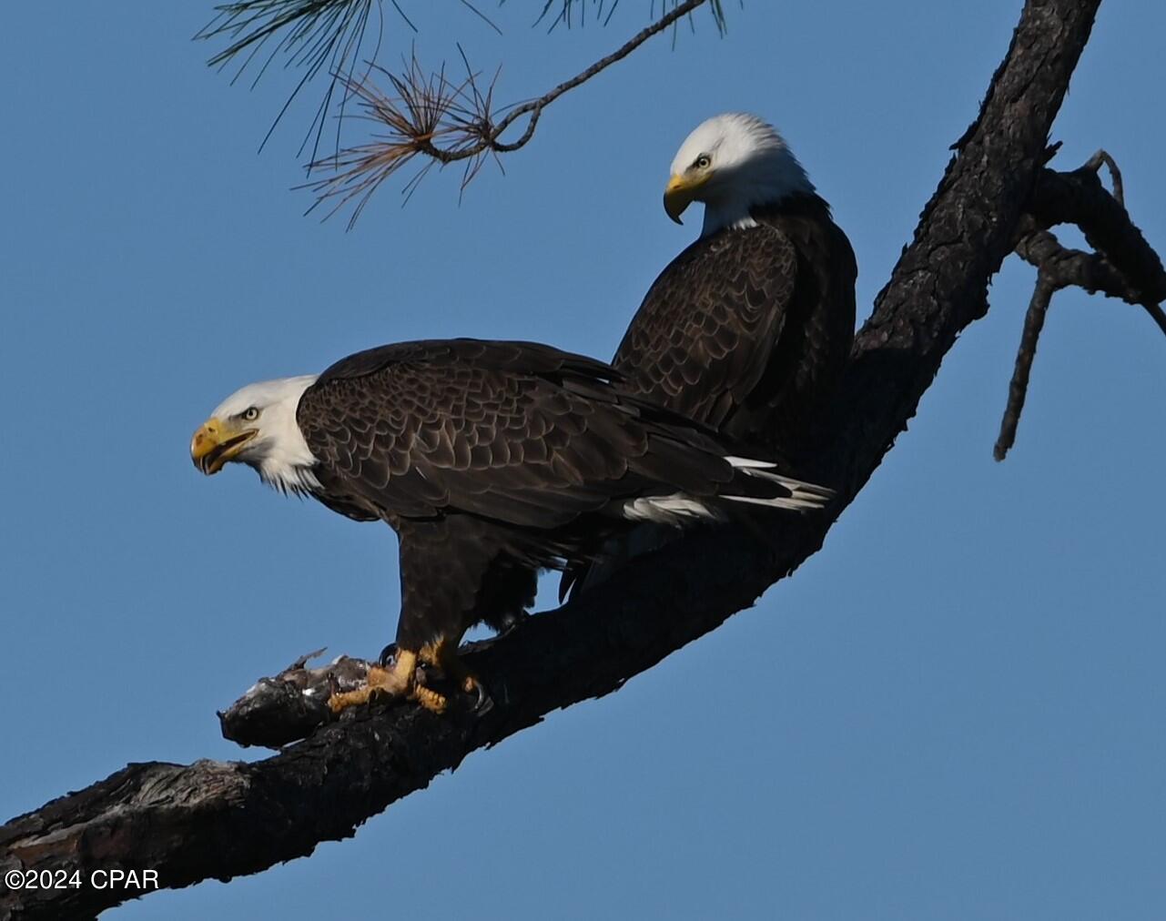 College Point 1st Add - Residential