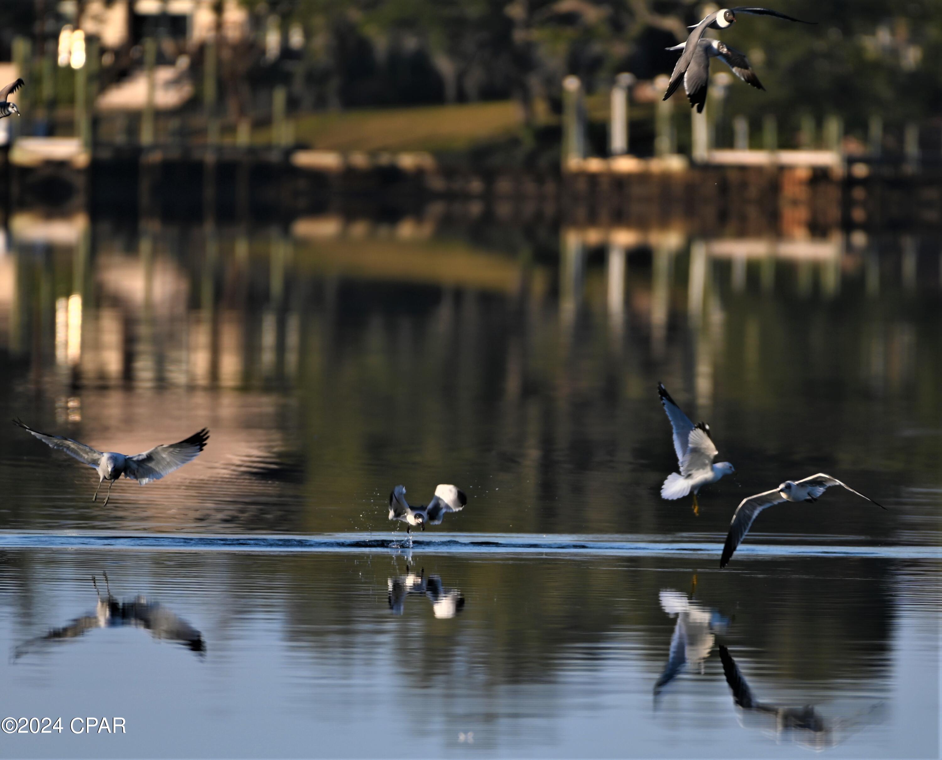 College Point 1st Add - Residential