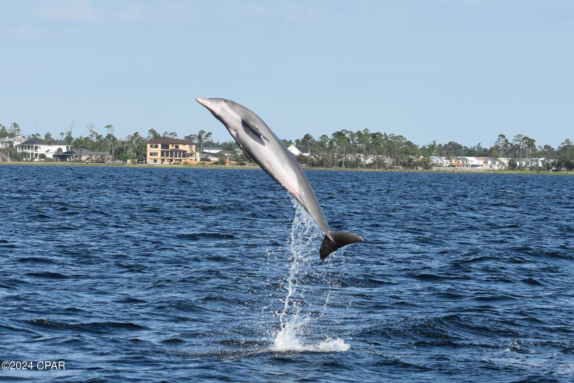 College Point 1st Add - Residential