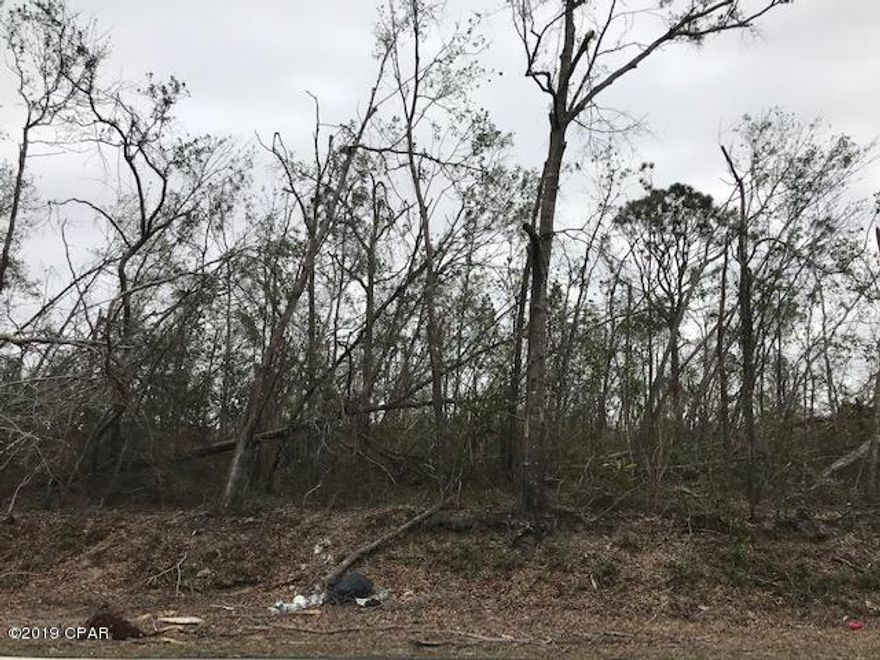 5 Acres of oaks and pines.  The hurricane has dropped many trees on the property.  There was a road to walk to get to the back but it is covered in trees.  Conveniently located near the Cherokee Landing boat ramp.  The property is zoned Conservation Habitation and it does allow for residential and agricultural use.  Next door there is horse boarding.  Back of property is Flood Zone A.