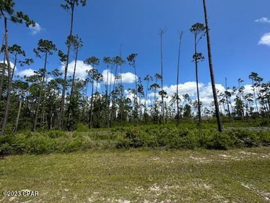 The waterfront, Gated community of Laird Point is a hidden gem and you have an opportunity to make it HOME! This vacant lot is a perfect place to build your dream home with the opportunity for waterviews and incredible sunsets! This lot is mostly cleared with some small underbrush only and is ready for your dream house. This is a larger lot at just under a half acre, there is plenty of room for your home, nicely landscaped yard, a pool and firepit while enjoying the Bay breezes grilling on the porch! Your coastal lifestyle awaits. LOW HOA dues, golf cart neighborhood, with a gate, community RV and boat storage and tennis courts and underground utilities all make this community worth establishing roots. Close to grocery stores, restaurants, TAFB and more! There is no doubt that this area is the next large growth area of the county, so don't let this beautiful lot get-a-way!