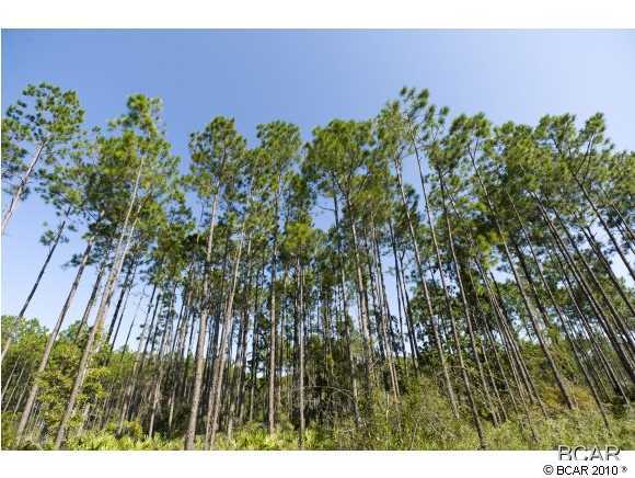 The Pines Of Lynn Haven - Land