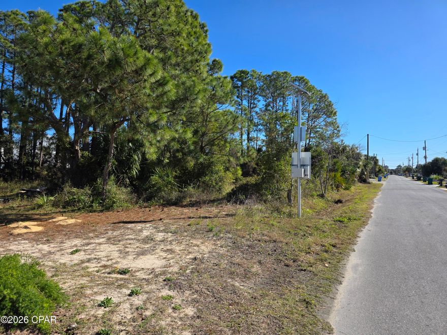 No HOA with this lot on the east end of Thomas Drive. Only 3 blocks to Thomas Drive and 4 blocks to the gulf, this lot is only 1300 feet straight down Luff to beach access 11. This oversized lot is .195 acres and has plenty of room for a home and a pool or enough room for multi-units.