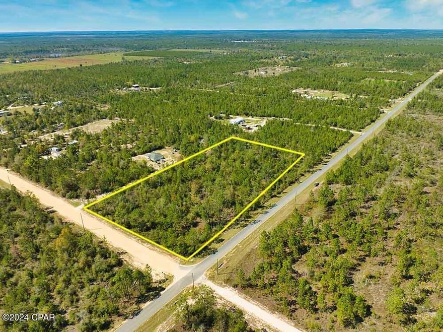 Undisturbed 5-acres of vacant land just 35 minutes away from Panama City and all the wonders of Florida's panhandle and Gulf coast! Secure this ideal property for your home or rural retreat today. Boundary lines are approximate in aerial photos. Buyer should verify all details.
