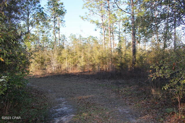 No Named Subdivision - Land