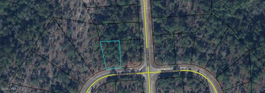 Excellent opportunity to own a .223 acre flat and level building lot in Unit 6 of Sunny Hills, located at Lot 6 on Hernando Circle. This homesite is situated in a more private section of the community with some established homes nearby, along with plenty of undeveloped parcels all through the neighborhood. The lot offers a straightforward building footprint with level elevations, helping simplify site prep and construction planning. According to US Water Corp. water connection is available for this lot (BUYER TO VERIFY) and power is present at the street! Whether you're a builder, investor, or future homeowner, this parcel presents an excellent opportunity for a beautiful and peaceful building site in SUNNY HILLS. Even better, it adjoins a corner lot on Cavalier that is also available from the same seller at the same price, providing a rare opportunity to secure side by side lots for added space, flexibility, or future development options. Sunny Hills continues to attract buyers due to its convenient access to Highway 77, with Chipley to the north and Panama City and the Gulf Coast beaches to the south. If you're looking for a competitively priced investment in a booming Northwest Florida community, this lot deserves your attention.
