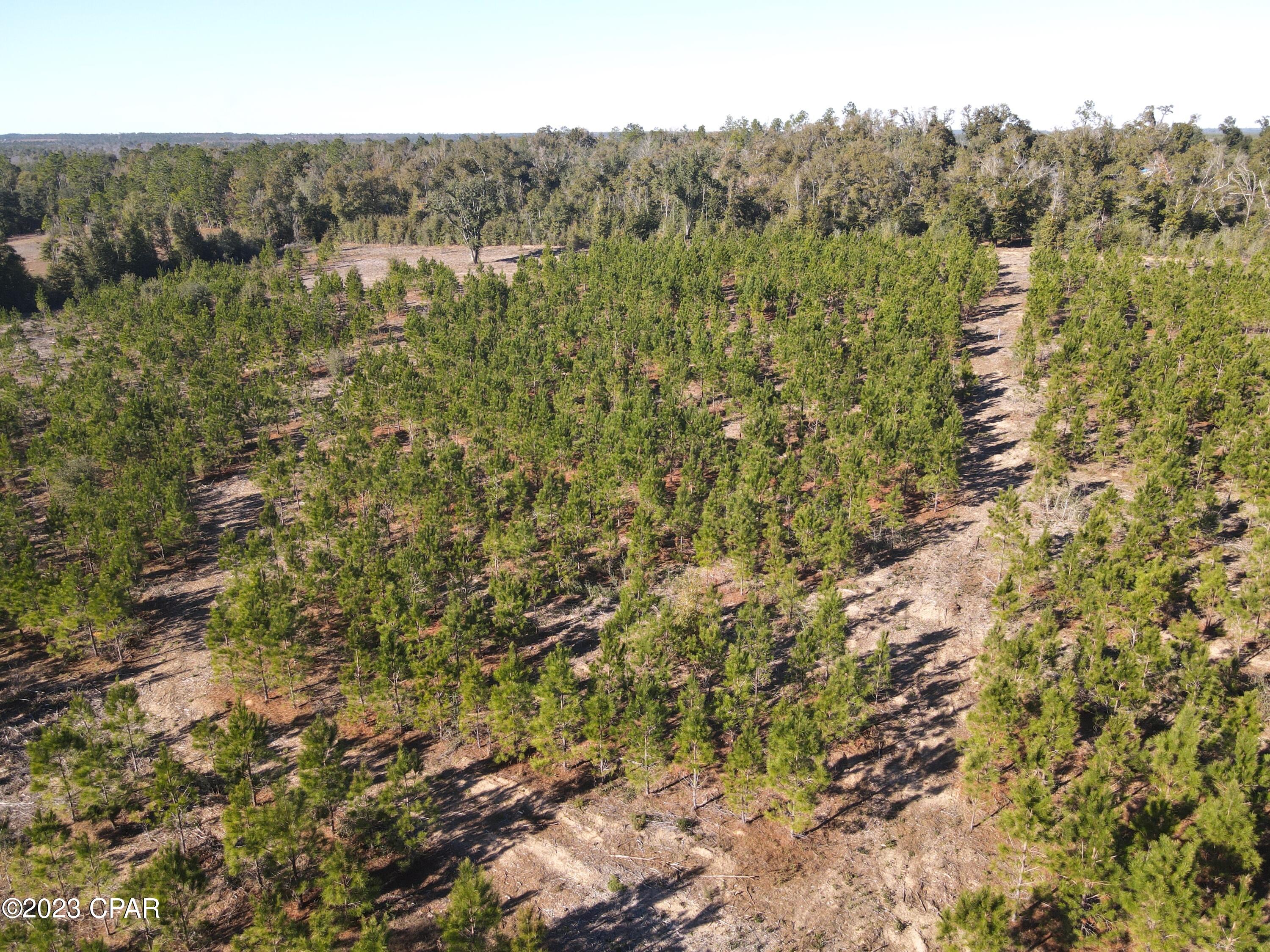 [No Recorded Subdiv] - Land