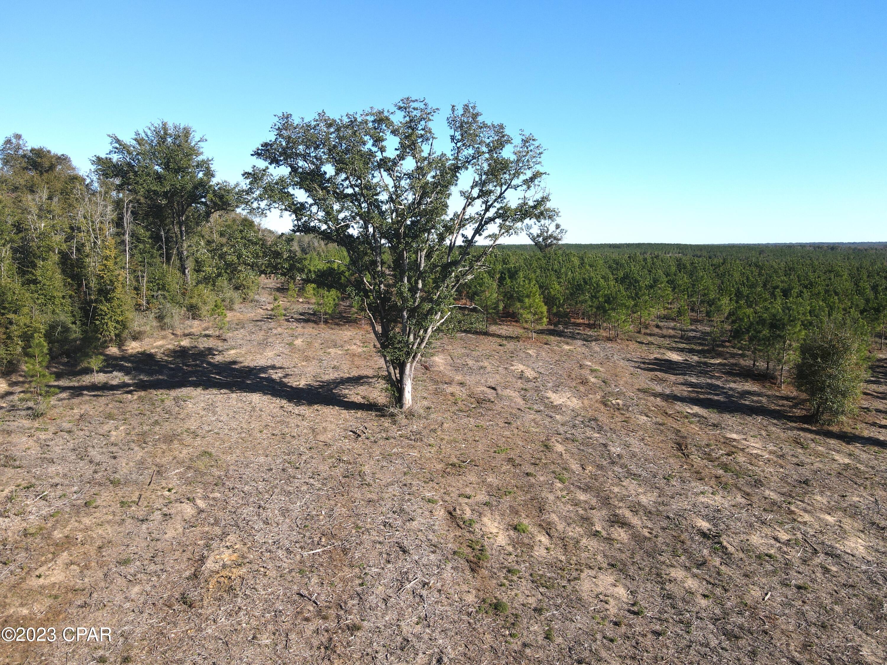 [No Recorded Subdiv] - Land