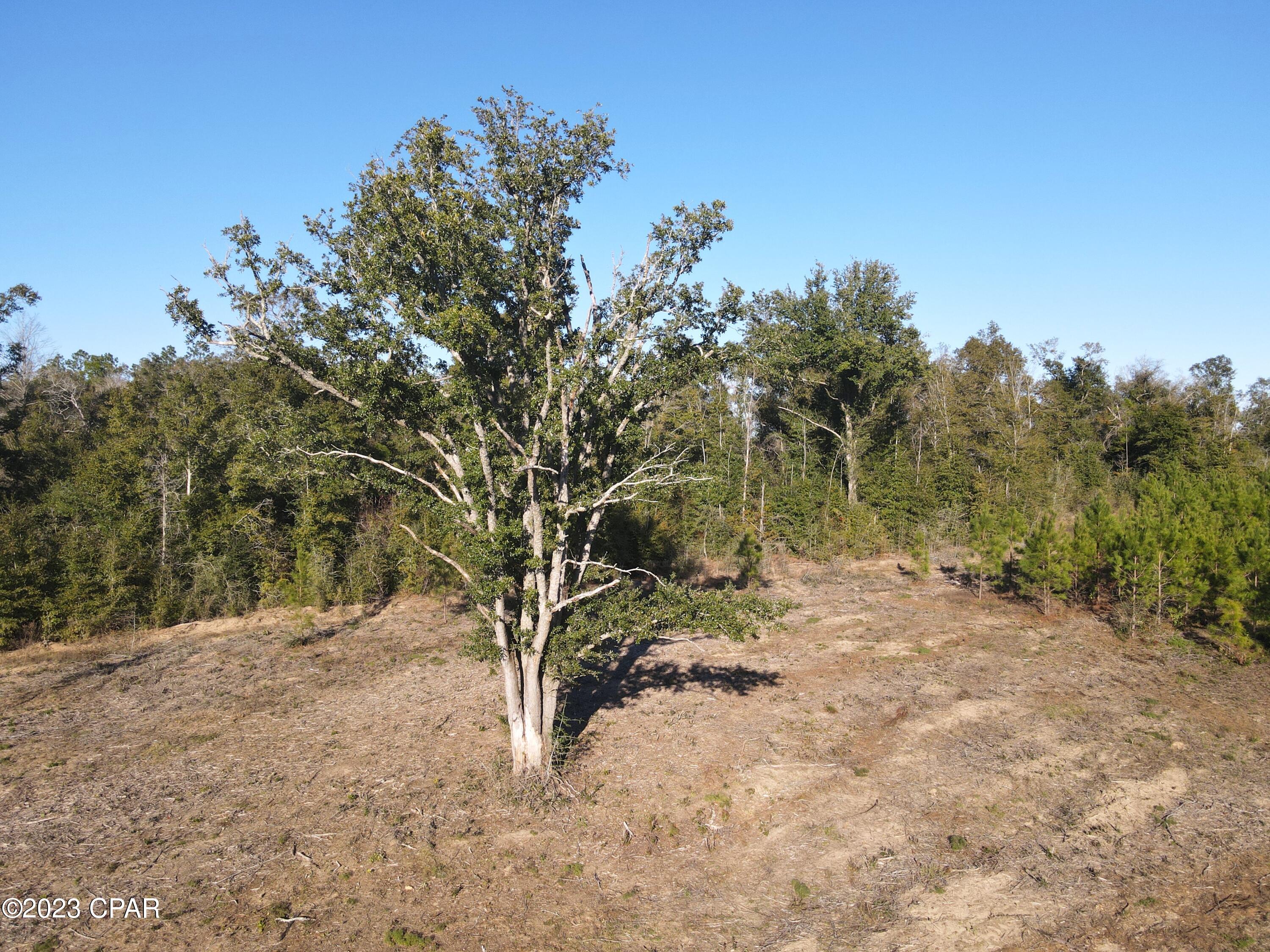 [No Recorded Subdiv] - Land