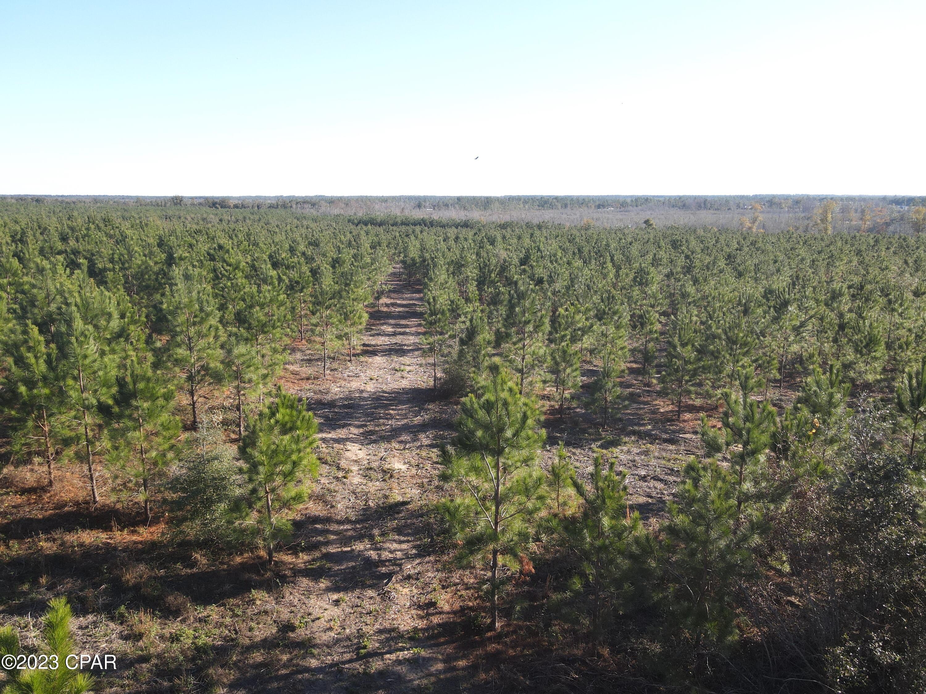 [No Recorded Subdiv] - Land