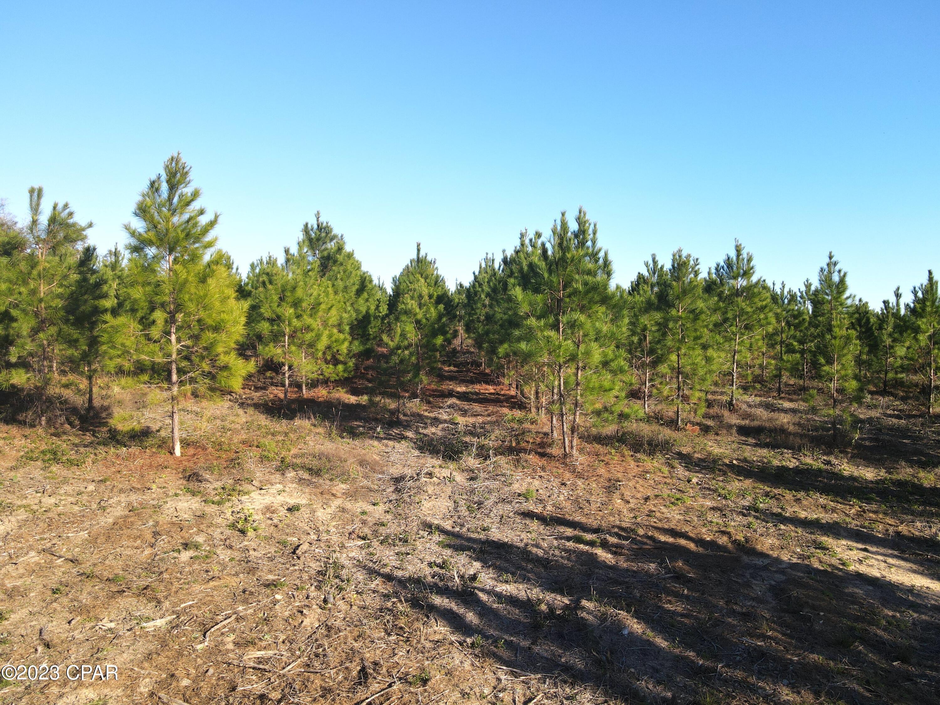 [No Recorded Subdiv] - Land