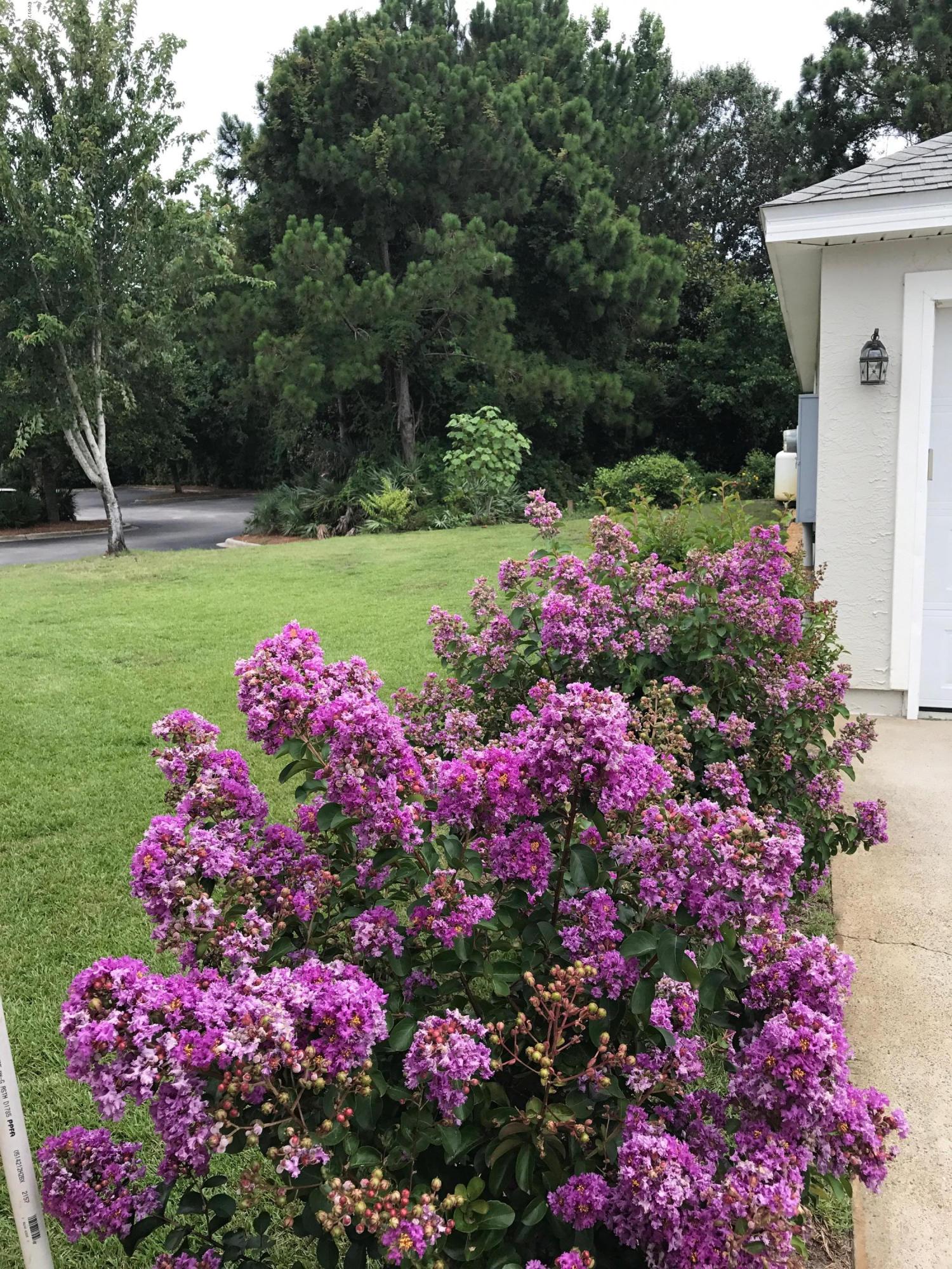 Palm Cove Phase III - Residential