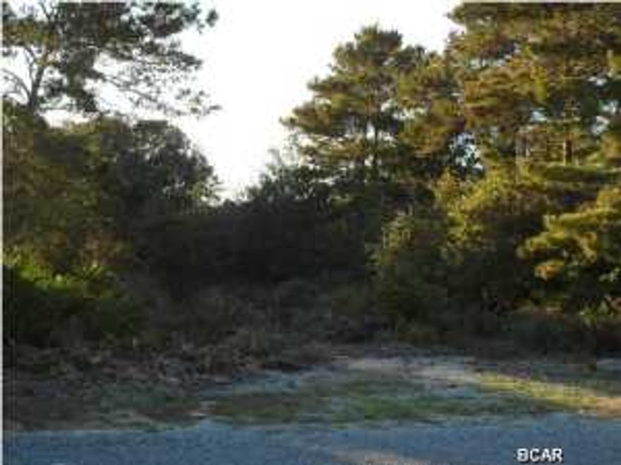 Have you been looking for the perfect place to build your next home? This property offers a great opportunity to build your dream home on the coveted West End of Bay County. This unique location is a ''stone's throw'' to the Lake Powell boat ramp/park and a bike ride from Panama City Beach's world-famous beaches! This Vacant Lot comes equipped with a septic tank (approved for a three bedroom home), a water meter, and an electricity pole. Within walking distance are the communities of Carillon Beach, Laguna Beach, and Wild Heron, along with stores such as CVS, Winn-Dixie, and a shopping center containing Publix, Super Cuts, China Buffet, and Wells Fargo. The friendly and inviting subdivision does not allow Mobile Homes. Can you just imagine deciding whether to go to the beach or lake,