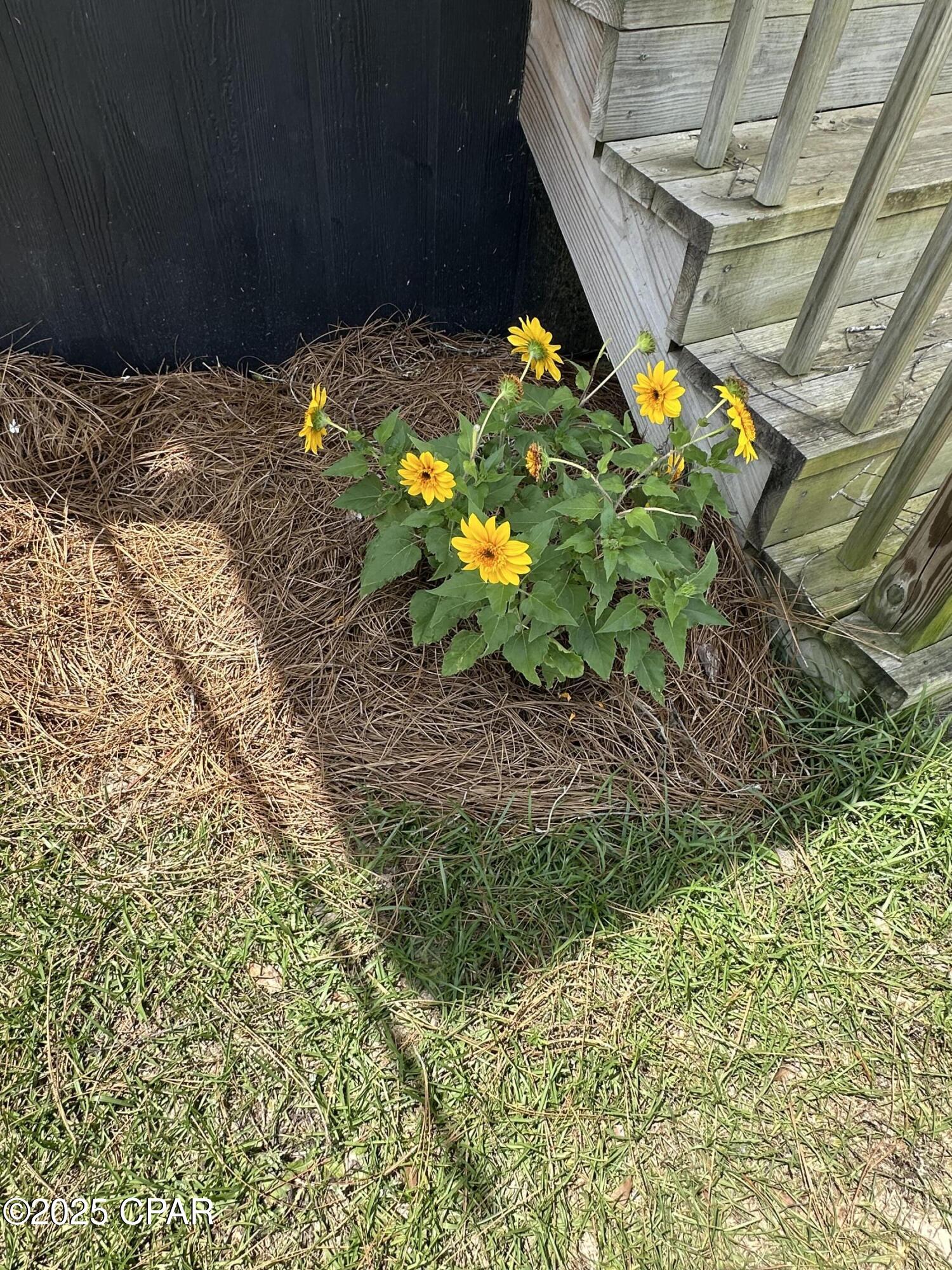 Housefond Subdivision - Residential