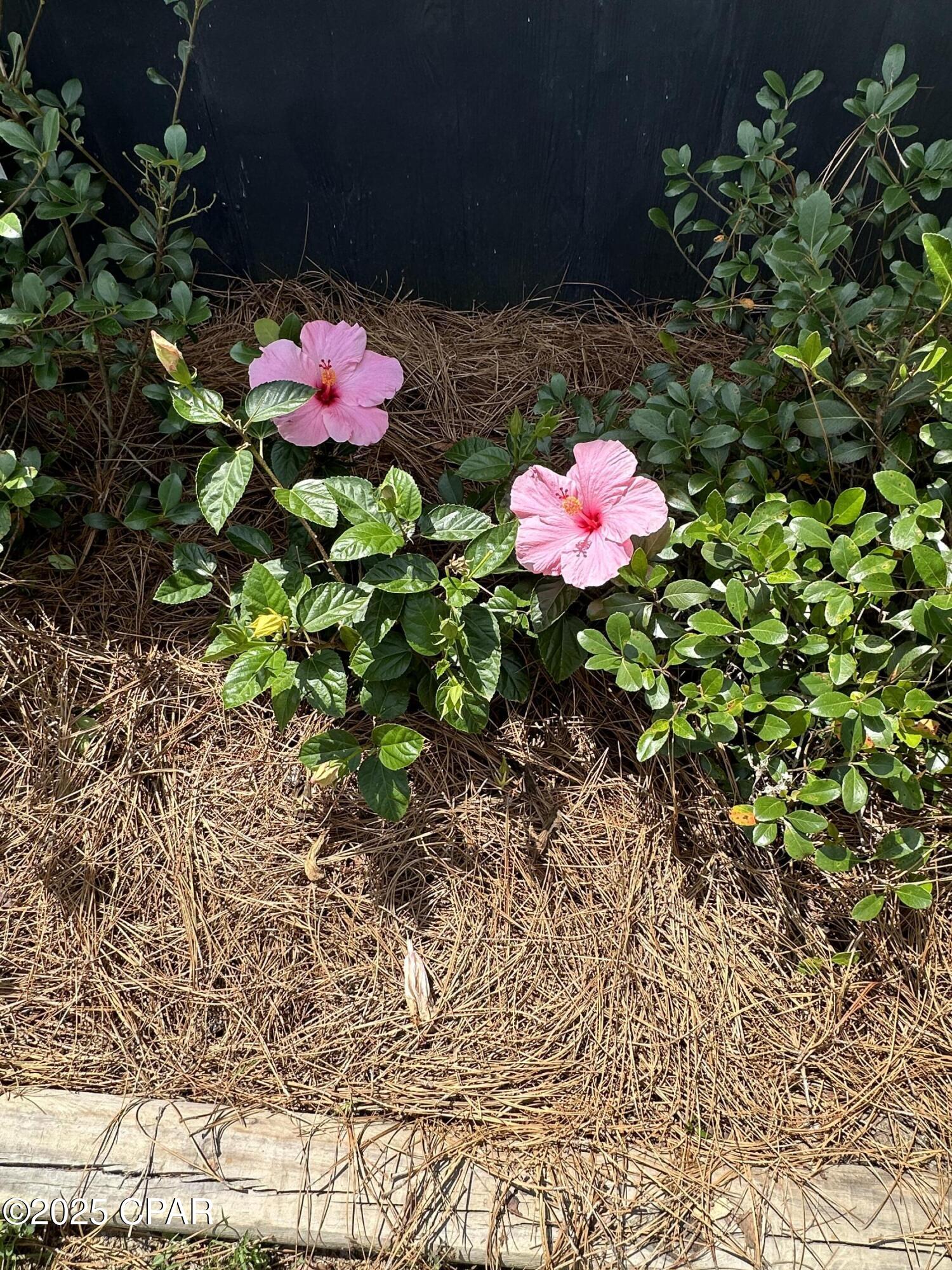 Housefond Subdivision - Residential