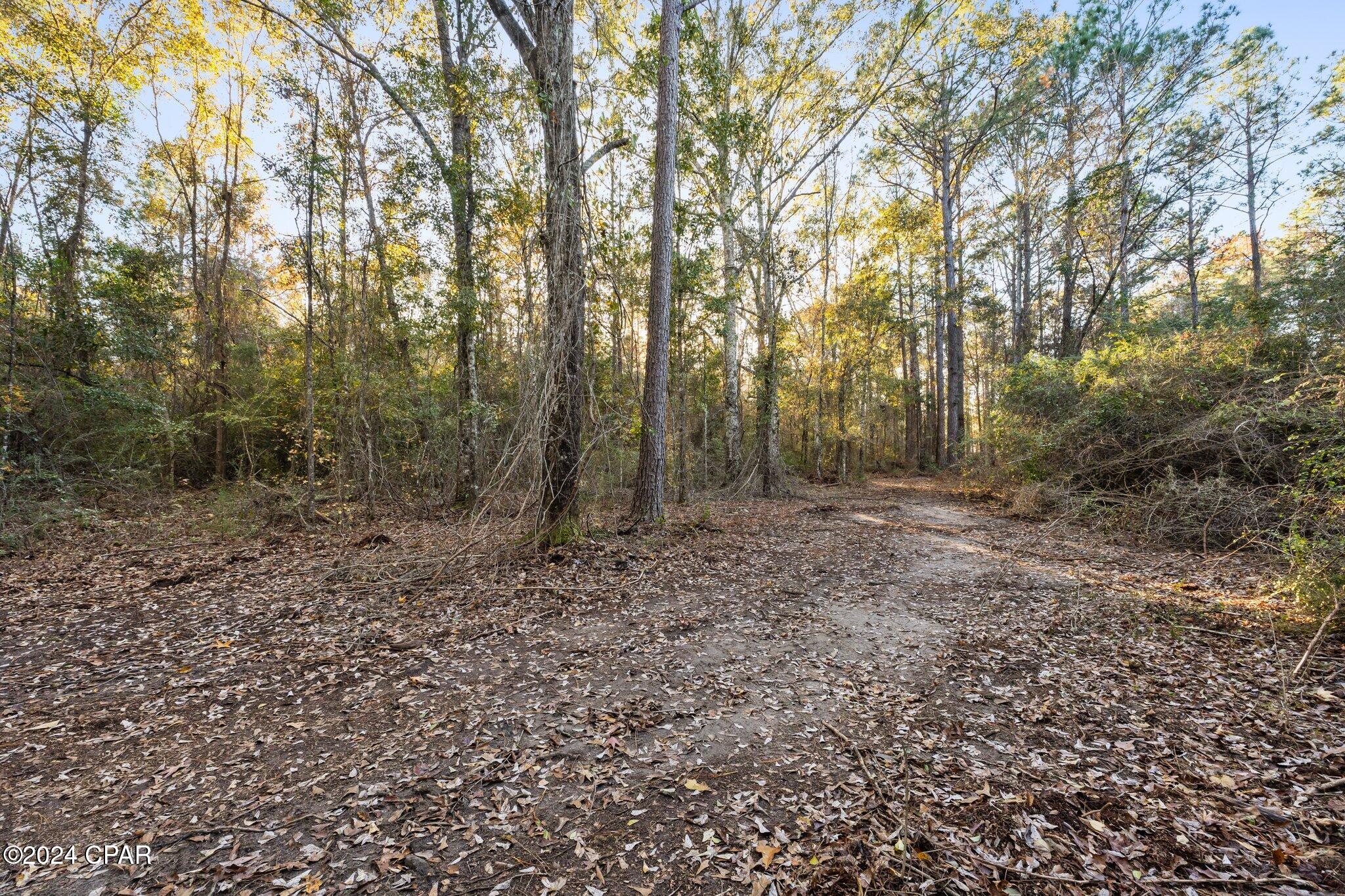 No Named Subdivision - Land