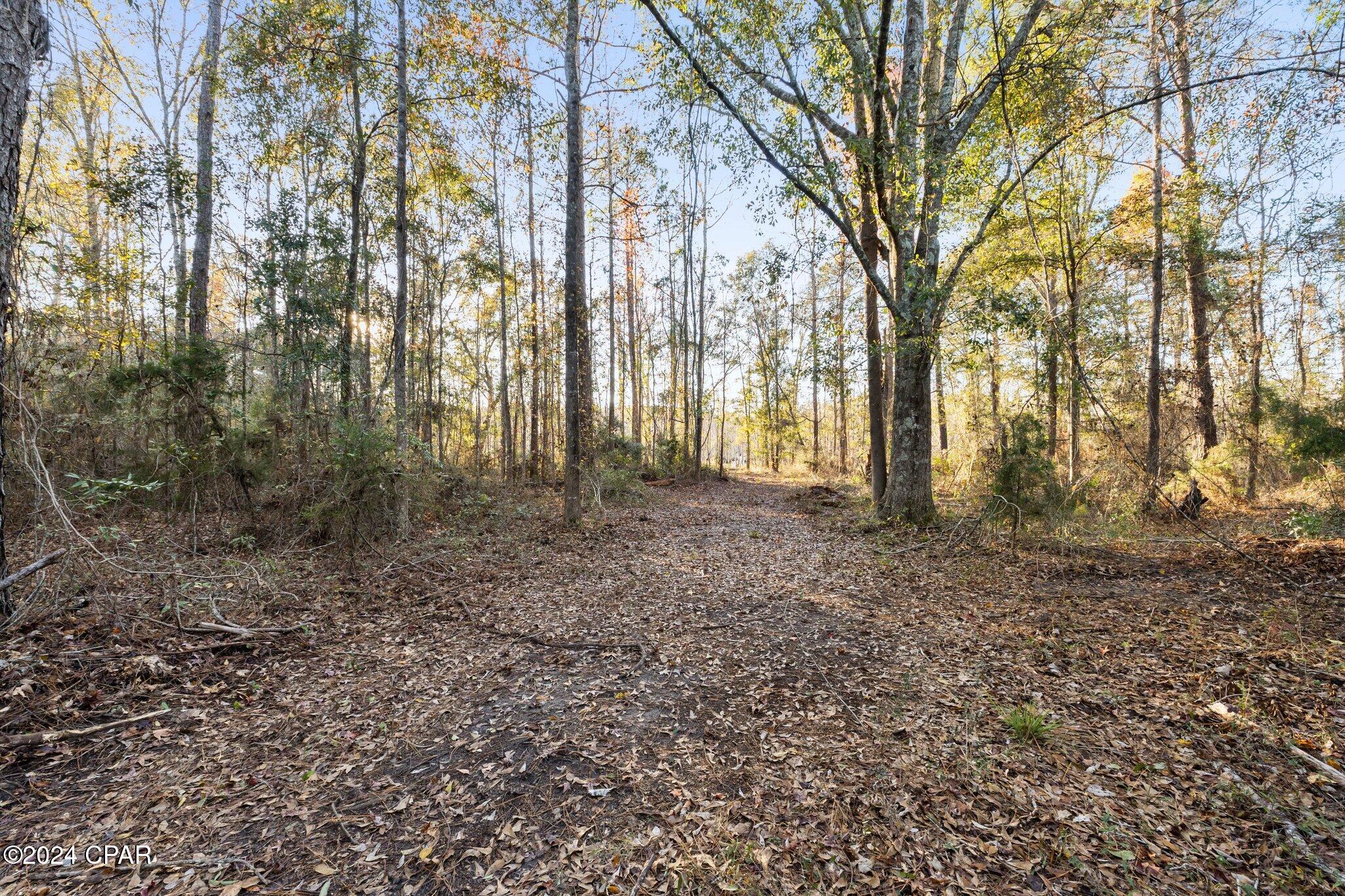 No Named Subdivision - Land