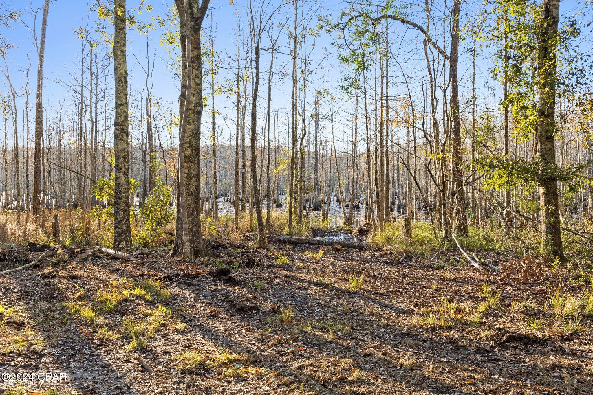 No Named Subdivision - Land