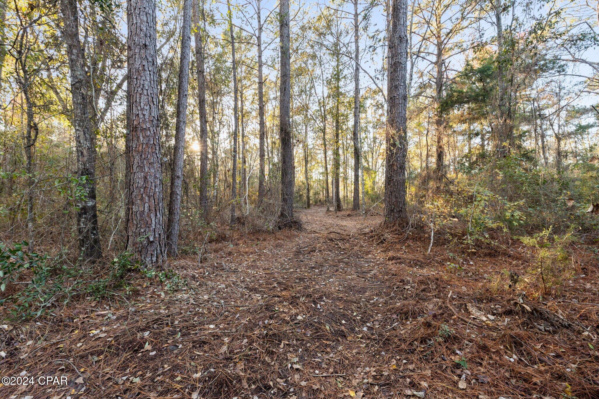 No Named Subdivision - Land