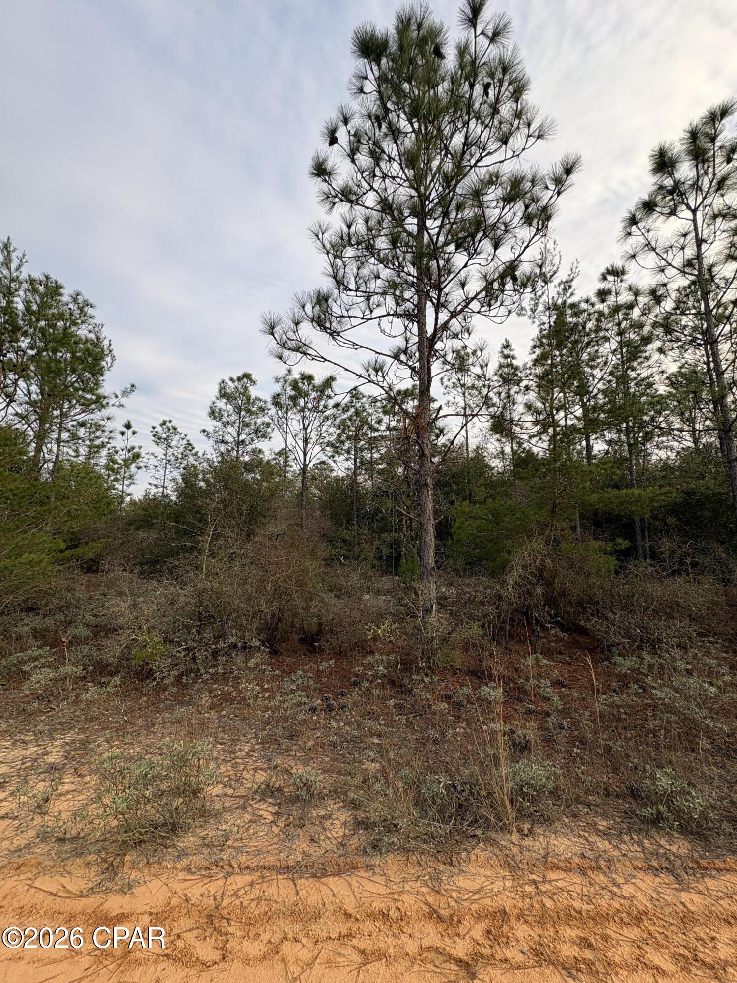 Sunny Hills Unit 12 - Land