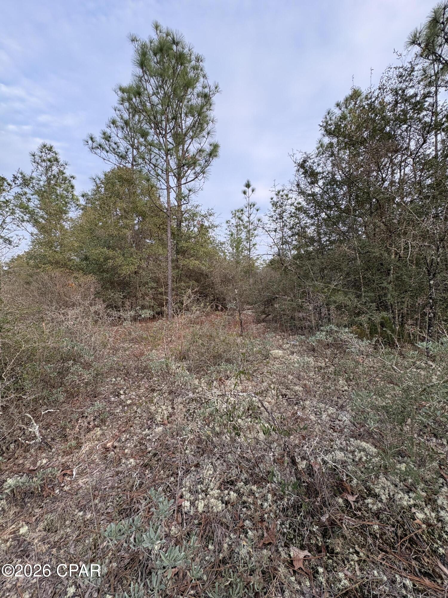 Sunny Hills Unit 12 - Land